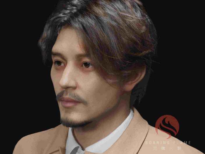 四川虚拟人IP矩阵厂商,虚拟人