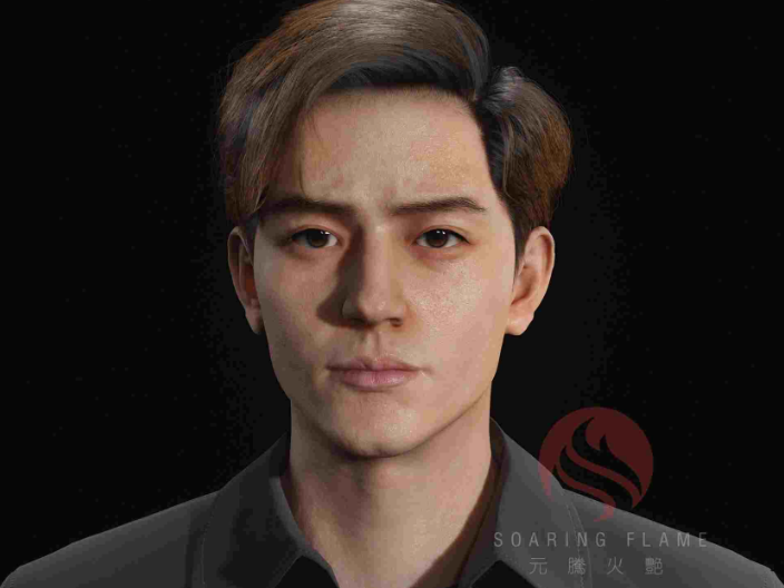 四川虚拟人IP矩阵厂商,虚拟人
